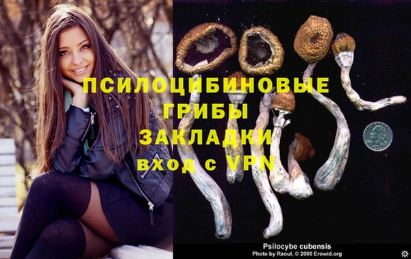 кокс Абаза