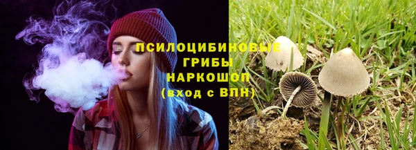 кокс Абаза