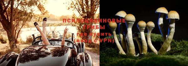 кокс Абаза