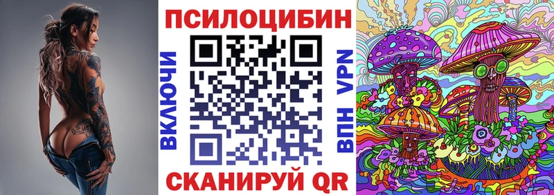 blacksprut вход  купить  цена  Алексин  Галлюциногенные грибы прущие грибы 
