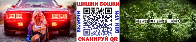 где купить наркотик  Алексин  Бошки Шишки планчик 